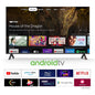 Digimate 32-Inch Frameless HD Smart LED TV with Google Assistant Voice Remote & Dolby Audio (DG-LED-3202) 2 Year Warranty