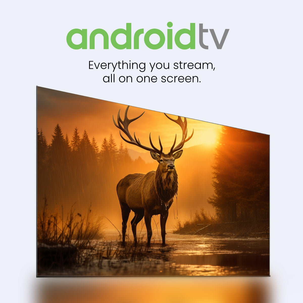 Digimate 43 inches HD Ready Android TV 2025 Edition with Dolby Audio (DG-LED-4302, Black) 2 Year Warranty