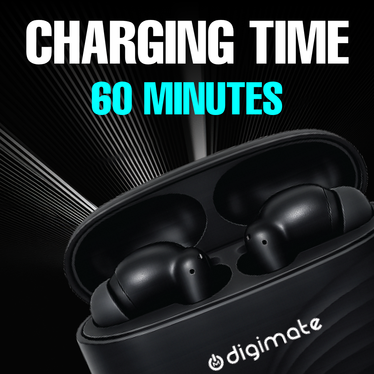 Digimate Raaga Wireless Earbuds with 100Hrs Playtime, Bluetooth 5.4, 10MM Driver, IPX4 Water Resistant, HD Mic, Type-C Charging (DG-EB-RAAGA-01)